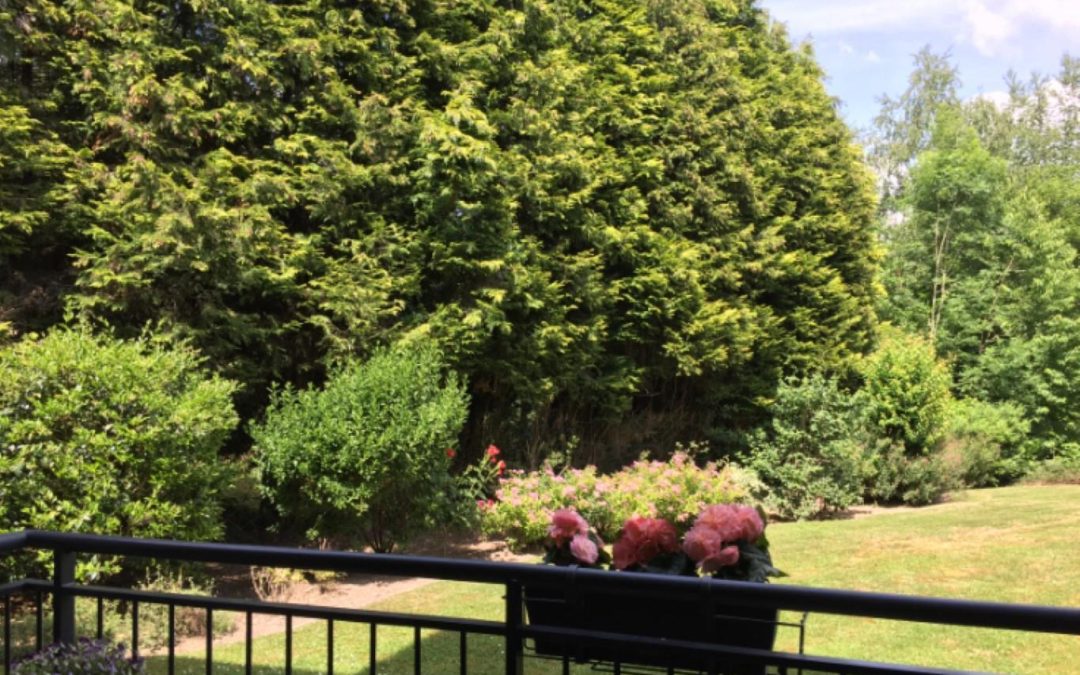 Agréable appartement 2 chambres!!!