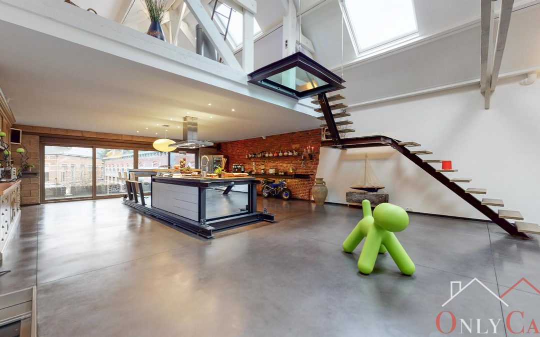 Magnifique loft  de haut Standing!!