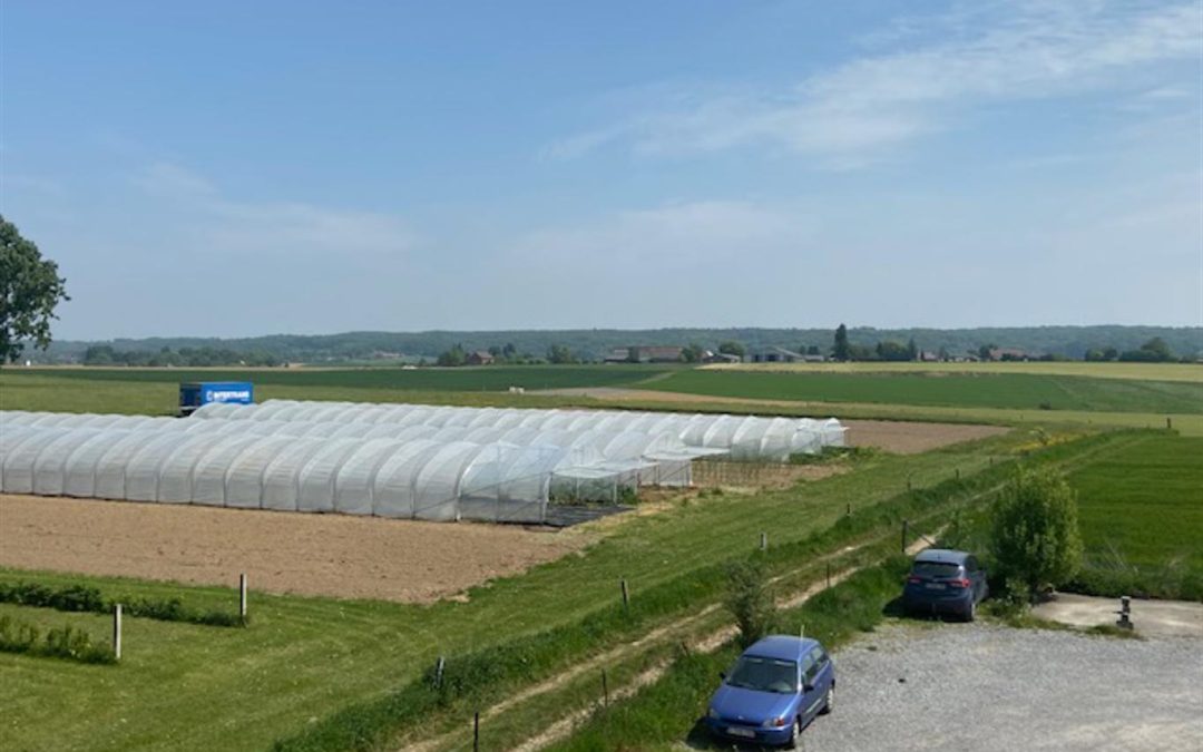 Magnifique appartement 1 chambre entièrement meublé!!