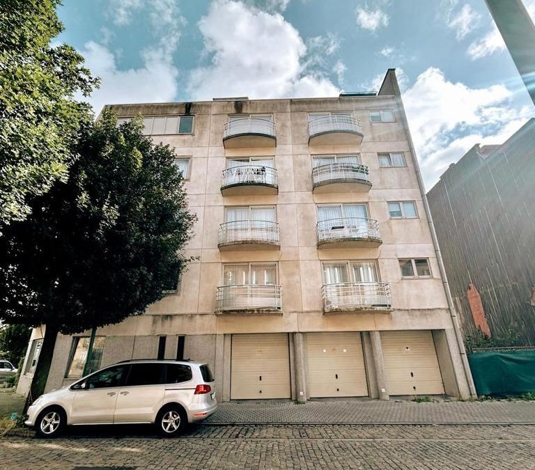 Magnifique et spacieux appartement avec garage ( optionnel )