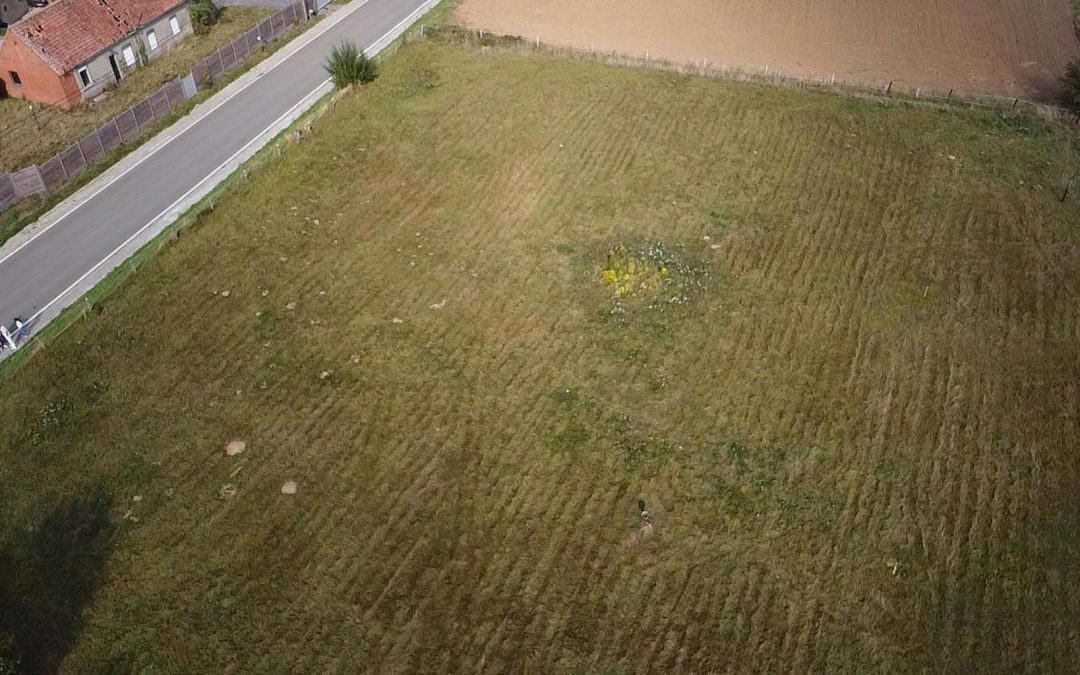 Superbe terrain à batir à vendre