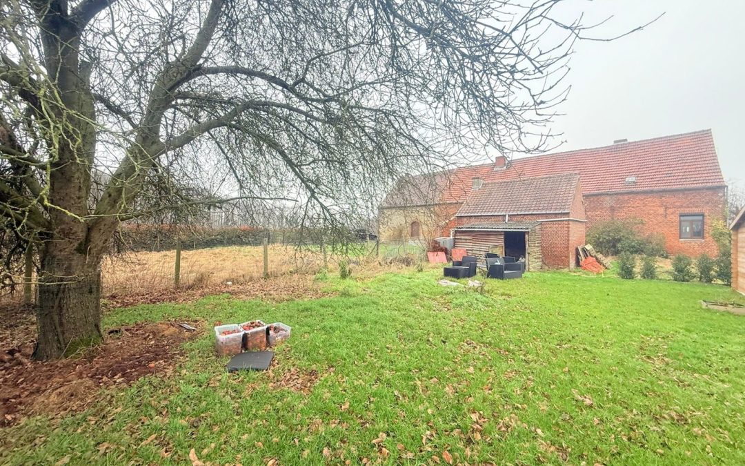 Maison 4 façades avec hangar